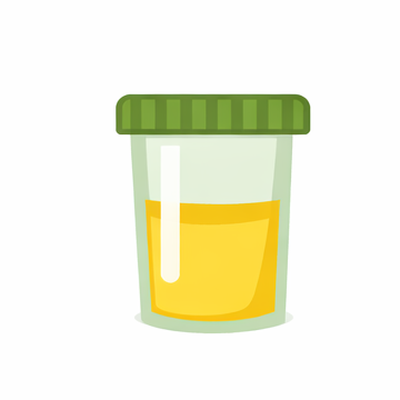 Analizat e urines Urine analysis